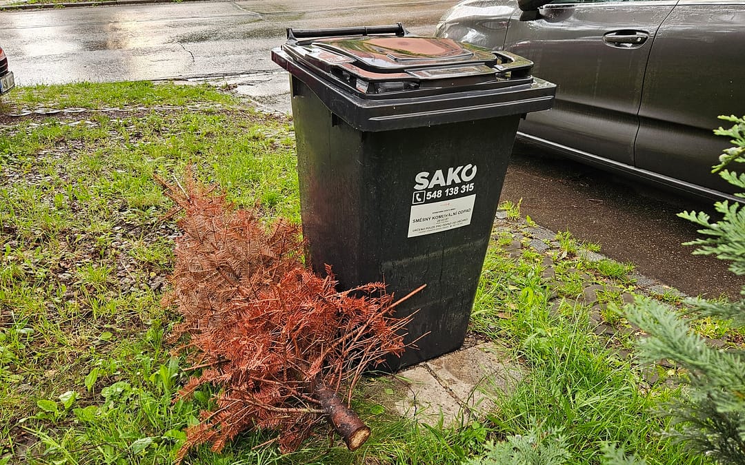 Poslední vánoční Mohykán z brněnských ulic