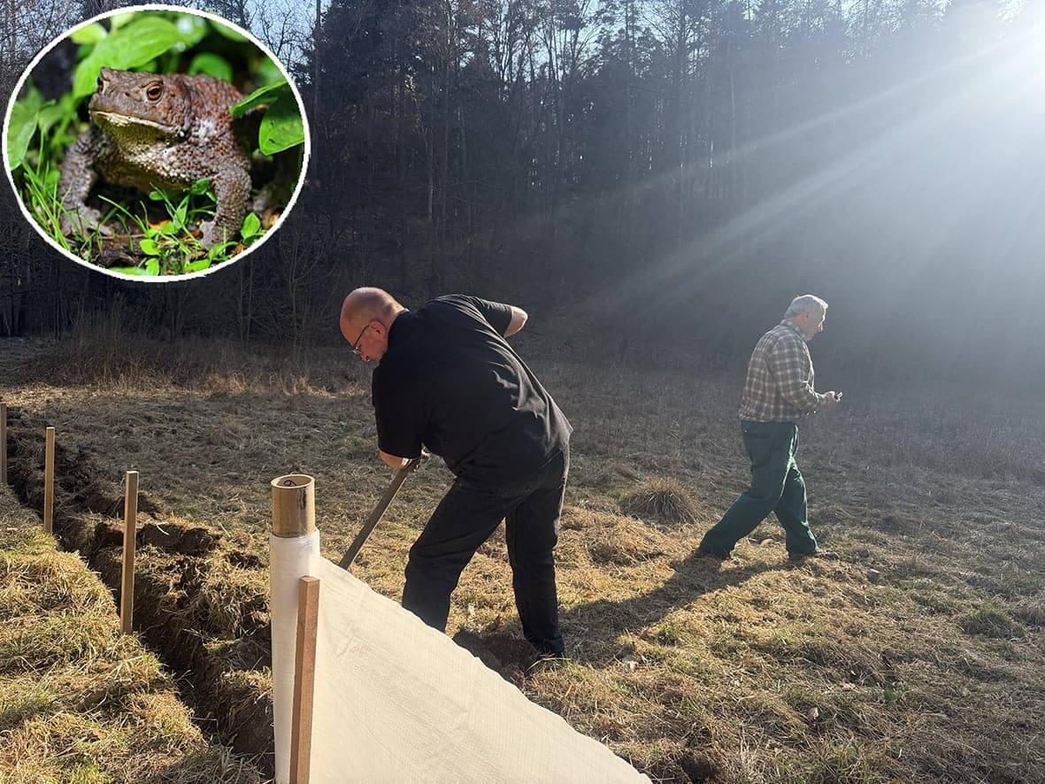 7c45f855-ac37-4f1a-932f-61b684fa0a98