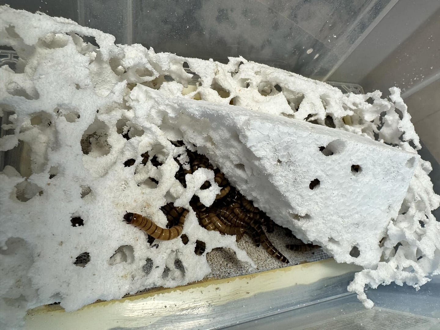 84e60710-6b4f-4203-ae57-d1bd71911614