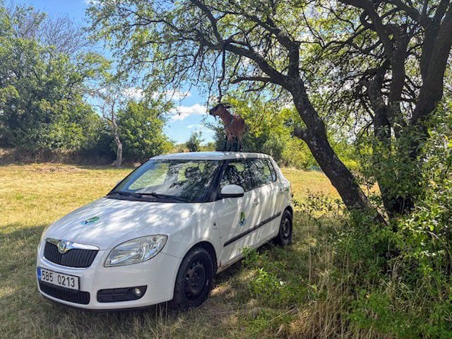 522613411_1172055741630939_7250862330882702795_n