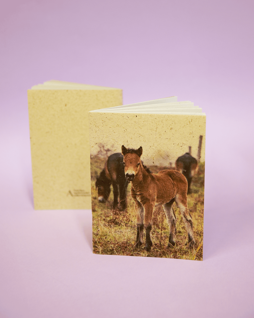 ceska-krajina-sesit-trus-divokych-koni-hribe-fialove-pozadi